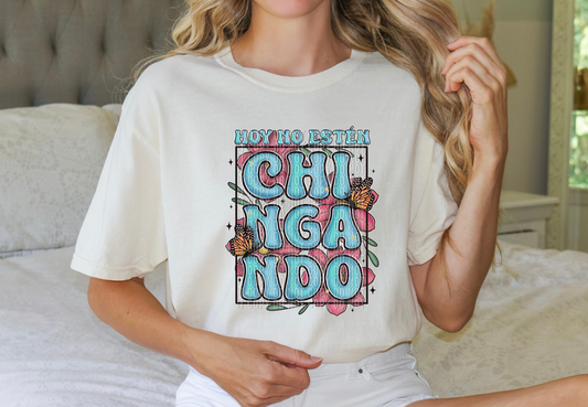 No Esten Chingando HTV