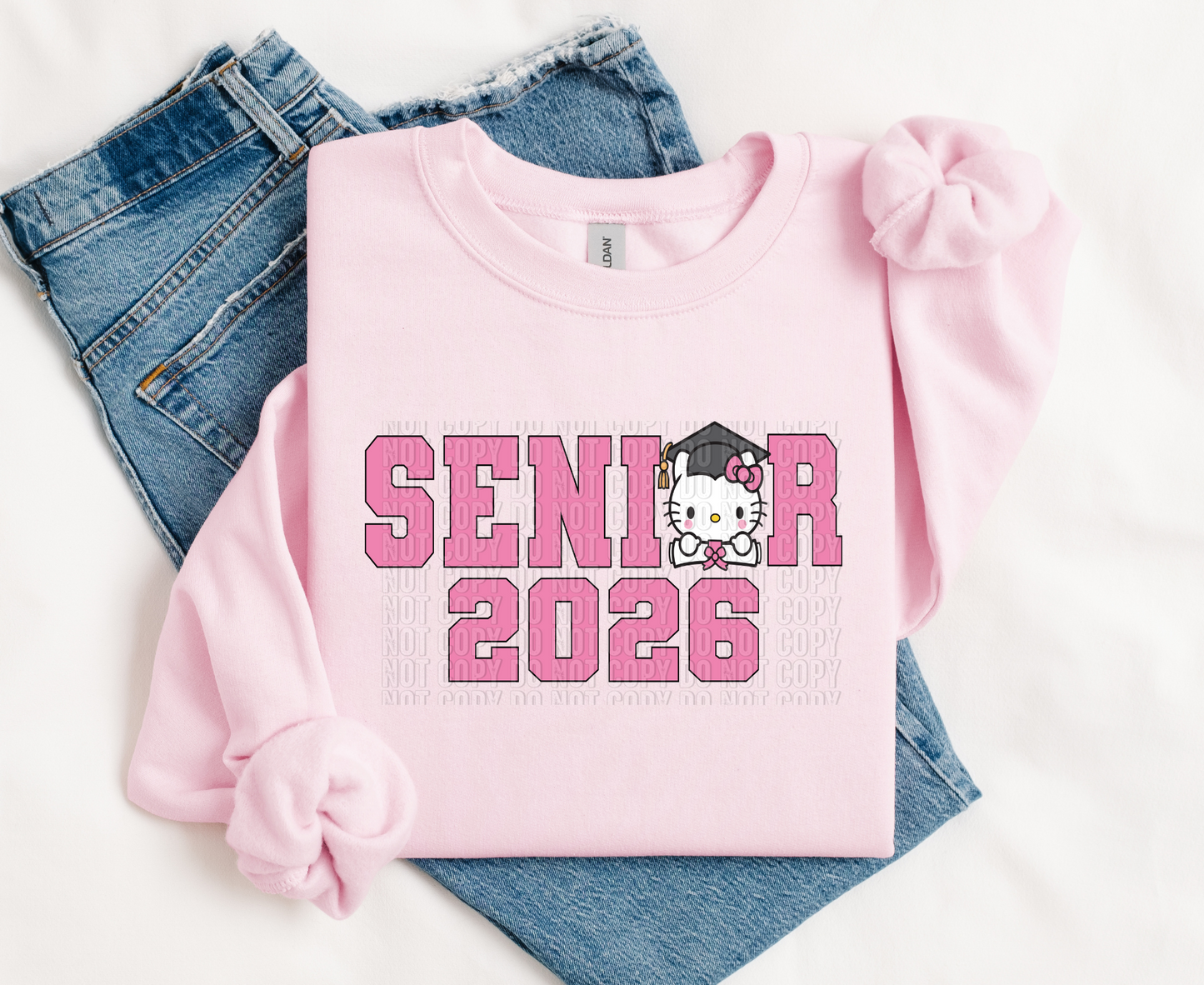 Senior Kitty  HTV