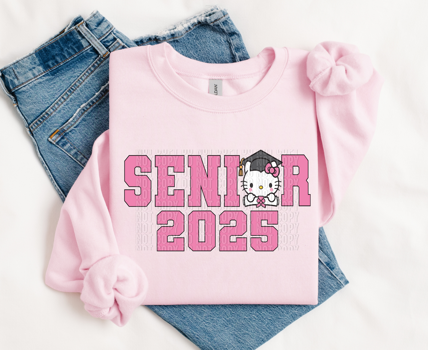 Senior Kitty  HTV