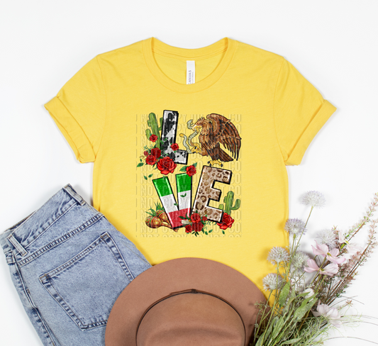 Love Mexico Screen Print
