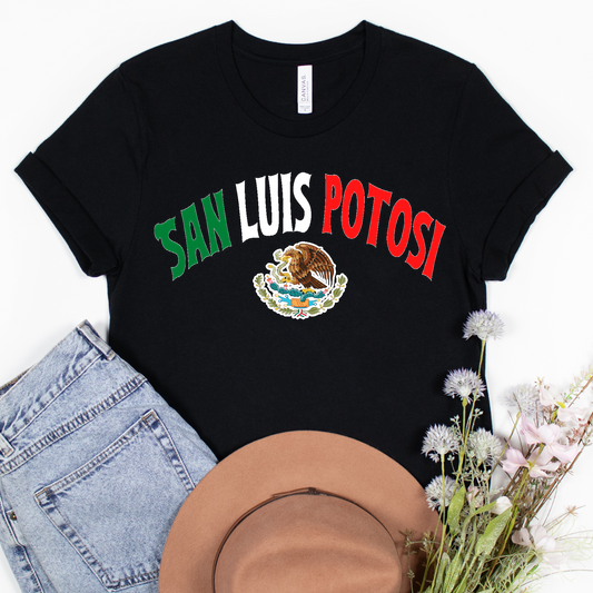 San Luis Potosi