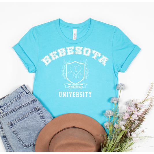 Bebesota University