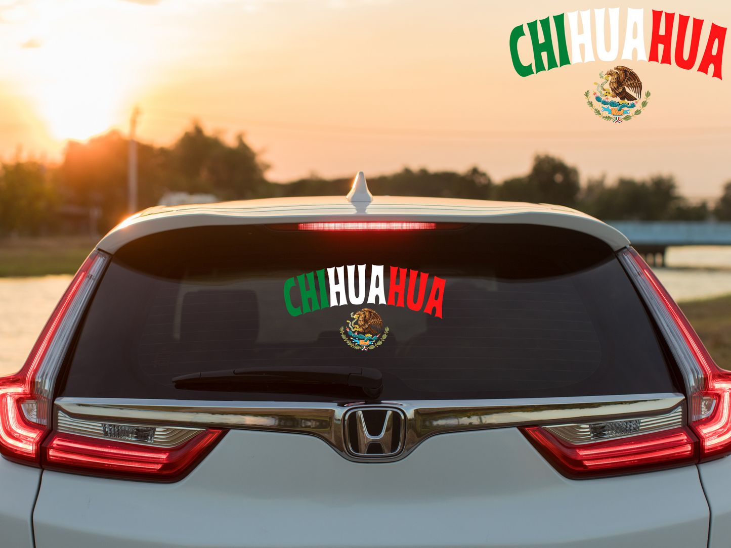 Chihuahua Car Decal